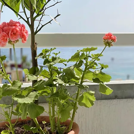 Geo & Art Boutique 4*