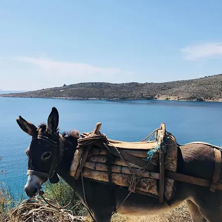 Hotel Geo & Art Boutique Himarë